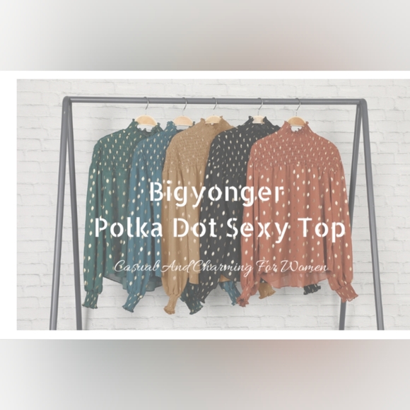 Bigyonger Sheer Shirred High Neck Blouse With Metallic Accents Red Bean Paste - Picture 2 of 11